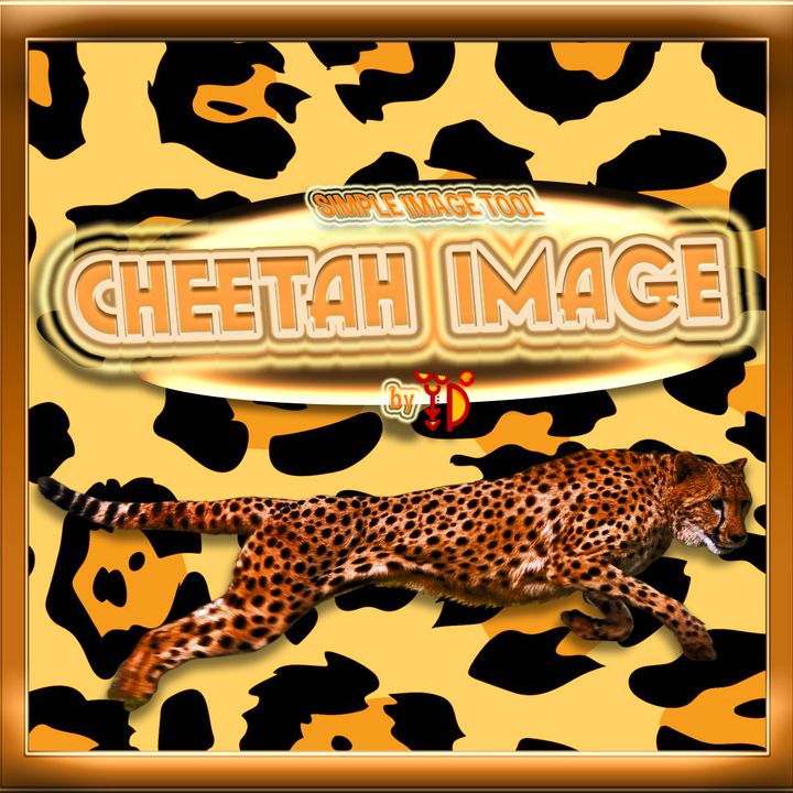 Cheetah Image
